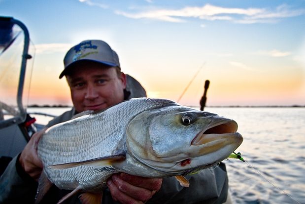 Mann hält einen großen Fisch in seinen Händen